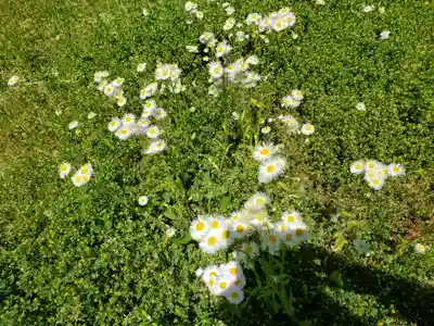 徳市神明社の自然