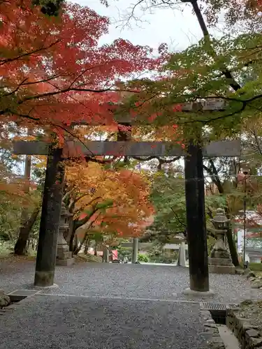 大原野神社の鳥居