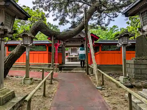 高山稲荷神社の本殿・本堂