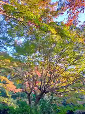 不退寺(奈良県)