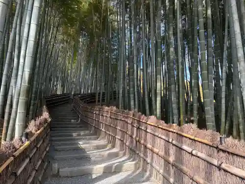 化野念仏寺の{uncategorized: "未分類", other: "その他", undefined: "問題あり", building: "その他建物", grave: "お墓", sacred_gate: "鳥居", guardian: "狛犬", statue: "像", buddha: "仏像", history: "歴史", nature: "自然", garden: "庭園", animal: "動物", pagoda: "塔", temizu: "手水舎", mountain_gate: "山門・神門", sanctuary: "本殿・本堂", subordinate: "末社・摂社", art: "芸術", scenery: "景色", jizo: "地蔵", ema: "絵馬", goshuin: "御朱印", omikuji: "おみくじ", items: "授与品その他", amulet: "お守り", goshuincho: "御朱印帳", eats: "食事", festival: "お祭り", votive_dance: "神楽", shichigosan: "七五三参", wedding: "結婚式", experience: "体験その他", initially: "初詣", around: "周辺", anti_infection: "感染症対策"}