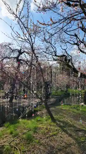 北野天満宮の{uncategorized: "未分類", other: "その他", undefined: "問題あり", building: "その他建物", grave: "お墓", sacred_gate: "鳥居", guardian: "狛犬", statue: "像", buddha: "仏像", history: "歴史", nature: "自然", garden: "庭園", animal: "動物", pagoda: "塔", temizu: "手水舎", mountain_gate: "山門・神門", sanctuary: "本殿・本堂", subordinate: "末社・摂社", art: "芸術", scenery: "景色", jizo: "地蔵", ema: "絵馬", goshuin: "御朱印", omikuji: "おみくじ", items: "授与品その他", amulet: "お守り", goshuincho: "御朱印帳", eats: "食事", festival: "お祭り", votive_dance: "神楽", shichigosan: "七五三参", wedding: "結婚式", experience: "体験その他", initially: "初詣", around: "周辺", anti_infection: "感染症対策"}