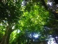 浅間神社の自然