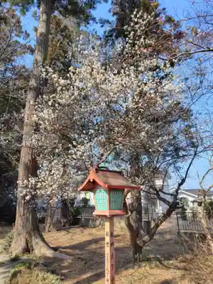 菅谷神社(埼玉県)