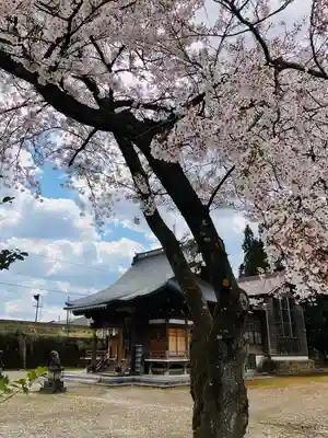 八幡宮(新潟県)