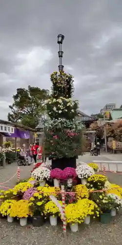 亀戸天神社(東京都)