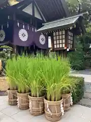 東京大神宮の庭園