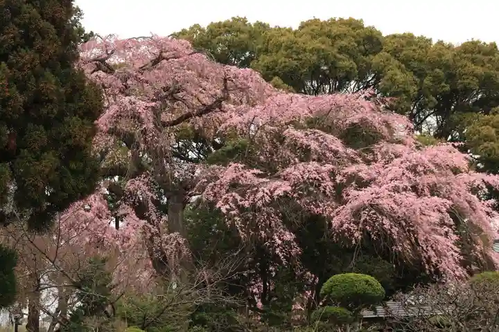 三島八幡神社の庭園