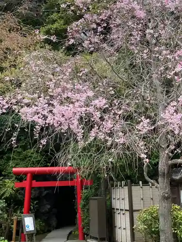 長谷寺(神奈川県)