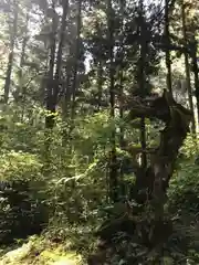 御岩神社の自然