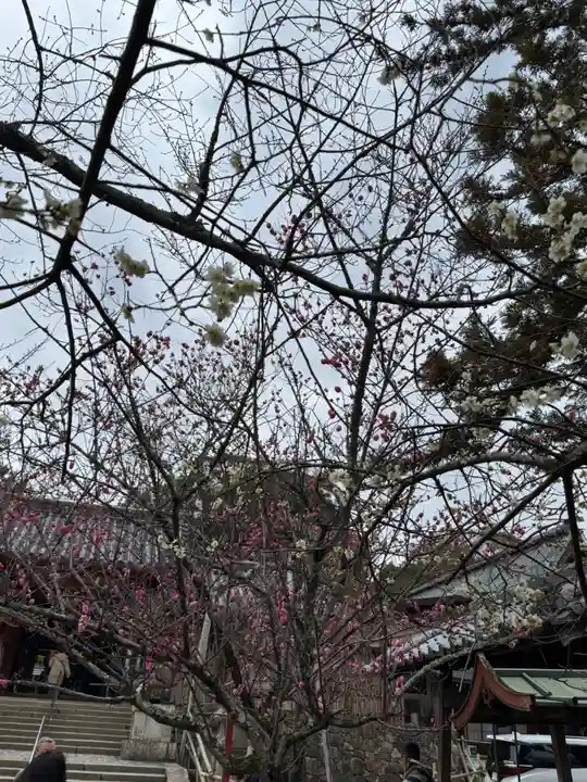 氷室神社(奈良県)