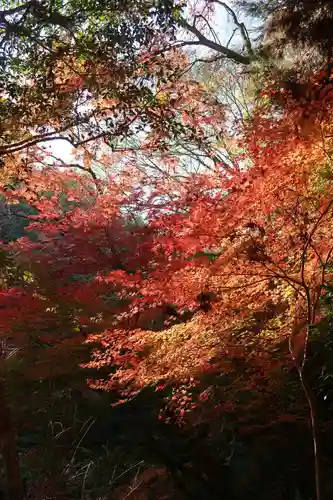 神應寺(京都府)