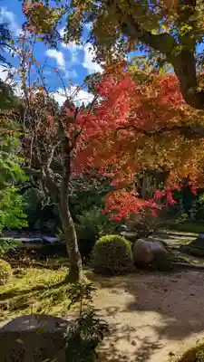 実光院(京都府)