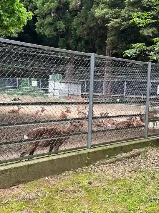 鹿島神宮(茨城県)