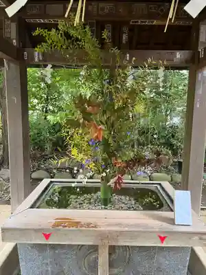 赤坂氷川神社(東京都)