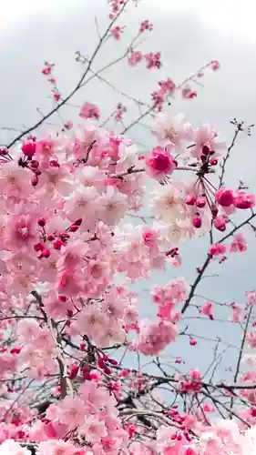 浄居寺(山梨県)