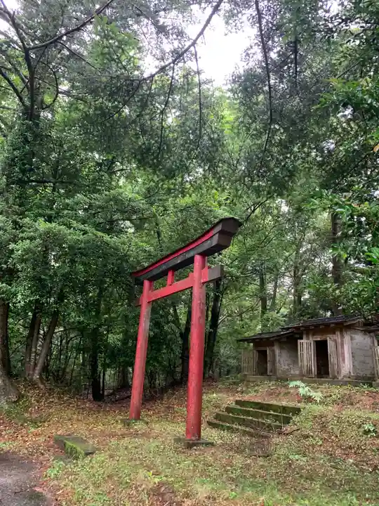 神社(名称不明)の鳥居
