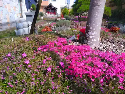 寿量山　速成寺(奈良県)