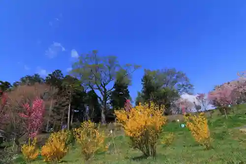 阿久津「田村神社」（郡山市阿久津町）旧社名：伊豆箱根三嶋三社の庭園