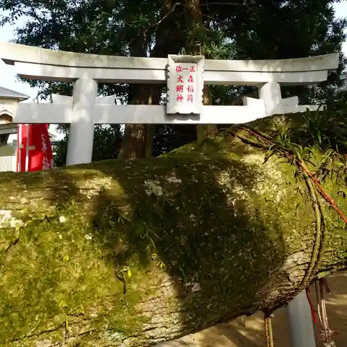 森稲荷大明神の自然