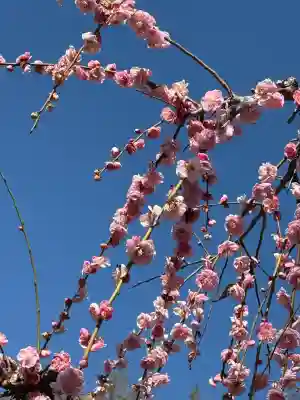 妙法寺(神奈川県)