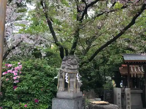 堀越神社の狛犬