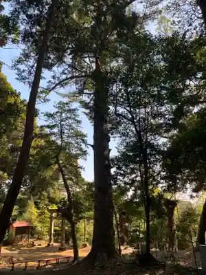 稲荷神社(千葉県)