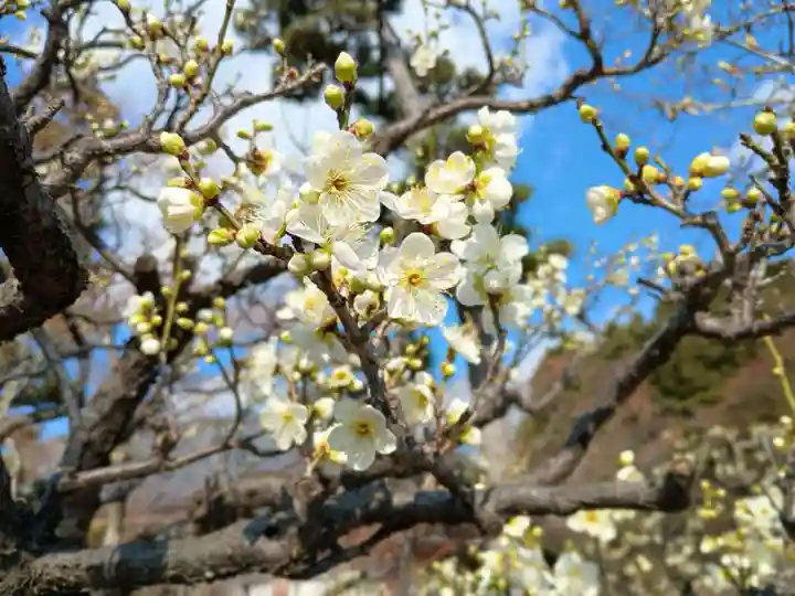 智積院(京都府)
