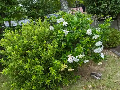 大超寺(京都府)