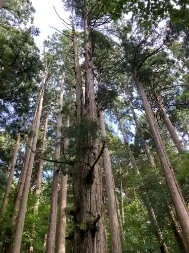 平泉寺白山神社(福井県)