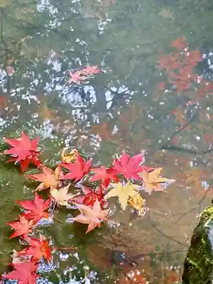 榮攝院（栄摂院）(京都府)