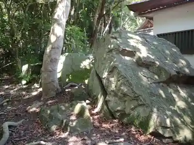 保久良神社の自然