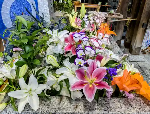 札幌諏訪神社の手水