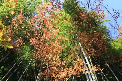 鹿嶋神社の自然