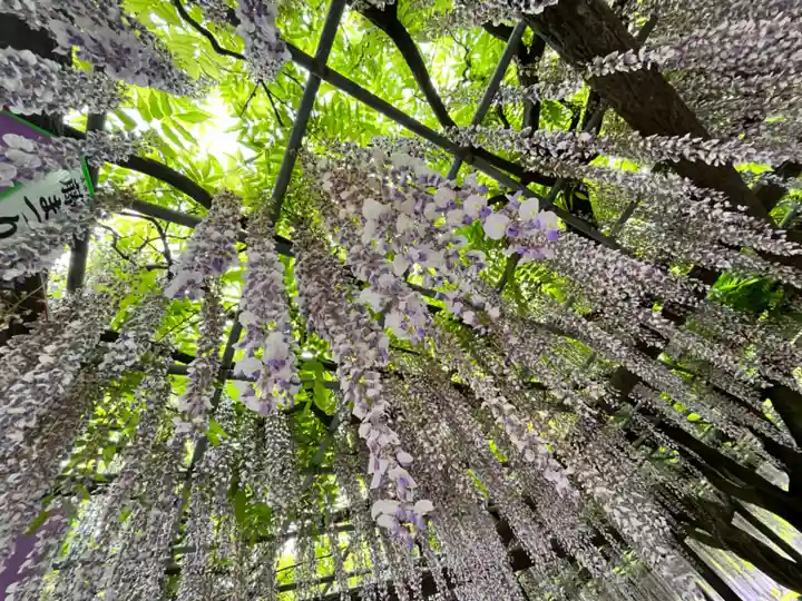 宮目神社(玉敷神社 境内社)(埼玉県)