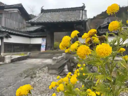 観音寺(滋賀県)