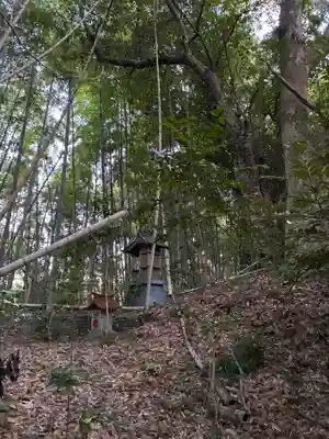 安房神社(千葉県)