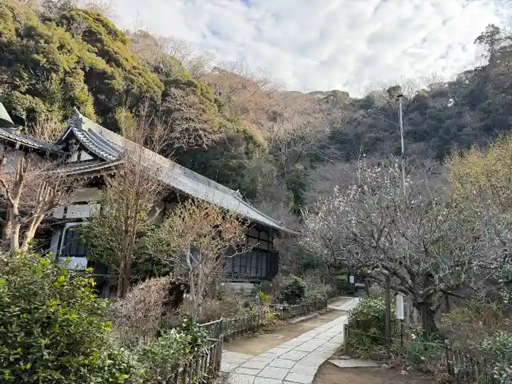 円覚寺(神奈川県)