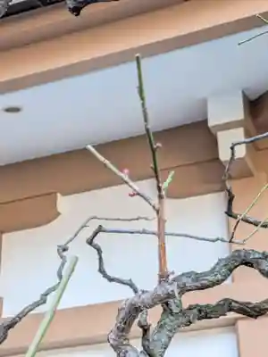 穏田神社(東京都)