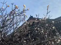 円覚寺(神奈川県)