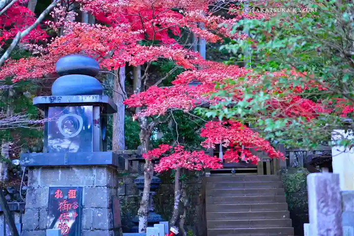 大山阿夫利神社(神奈川県)