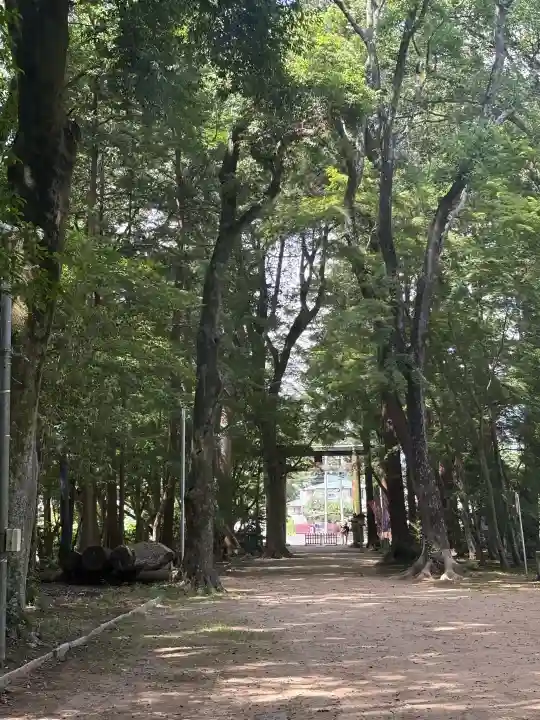 小御門神社の{uncategorized: "未分類", other: "その他", undefined: "問題あり", building: "その他建物", grave: "お墓", sacred_gate: "鳥居", guardian: "狛犬", statue: "像", buddha: "仏像", history: "歴史", nature: "自然", garden: "庭園", animal: "動物", pagoda: "塔", temizu: "手水舎", mountain_gate: "山門・神門", sanctuary: "本殿・本堂", subordinate: "末社・摂社", art: "芸術", scenery: "景色", jizo: "地蔵", ema: "絵馬", goshuin: "御朱印", omikuji: "おみくじ", items: "授与品その他", amulet: "お守り", goshuincho: "御朱印帳", eats: "食事", festival: "お祭り", votive_dance: "神楽", shichigosan: "七五三参", wedding: "結婚式", experience: "体験その他", initially: "初詣", around: "周辺", anti_infection: "感染症対策"}