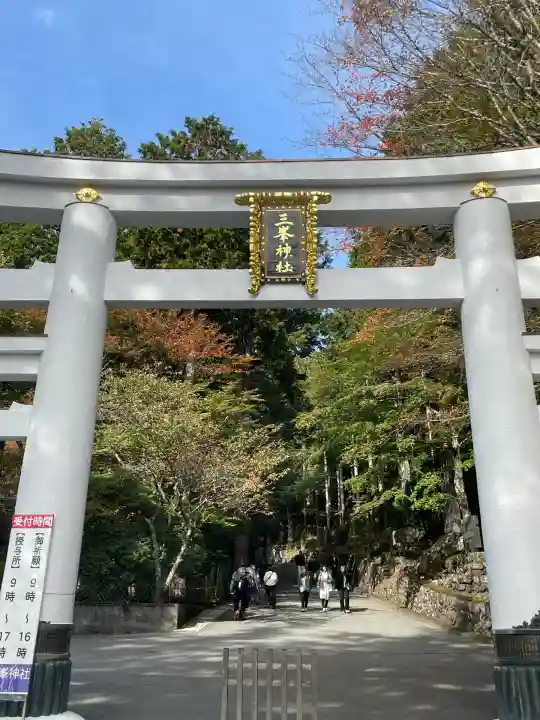 三峯神社(埼玉県)