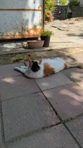 阿邪訶根神社(福島県)