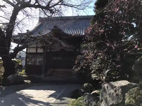 妙経寺の本殿・本堂