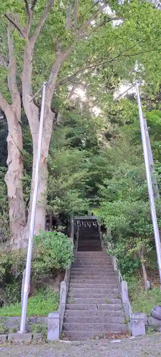 天照御祖神社の{uncategorized: "未分類", other: "その他", undefined: "問題あり", building: "その他建物", grave: "お墓", sacred_gate: "鳥居", guardian: "狛犬", statue: "像", buddha: "仏像", history: "歴史", nature: "自然", garden: "庭園", animal: "動物", pagoda: "塔", temizu: "手水舎", mountain_gate: "山門・神門", sanctuary: "本殿・本堂", subordinate: "末社・摂社", art: "芸術", scenery: "景色", jizo: "地蔵", ema: "絵馬", goshuin: "御朱印", omikuji: "おみくじ", items: "授与品その他", amulet: "お守り", goshuincho: "御朱印帳", eats: "食事", festival: "お祭り", votive_dance: "神楽", shichigosan: "七五三参", wedding: "結婚式", experience: "体験その他", initially: "初詣", around: "周辺", anti_infection: "感染症対策"}