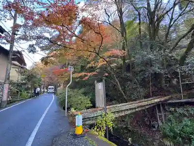 貴船神社結社(京都府)