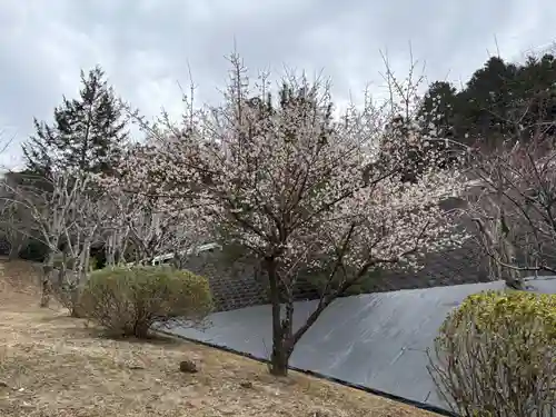 靈山寺（霊山寺）(大阪府)