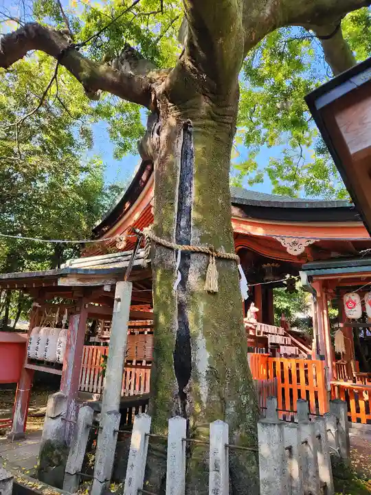 武信稲荷神社の自然
