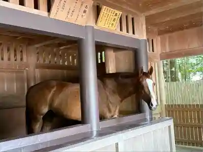 伊勢神宮内宮（皇大神宮）(三重県)